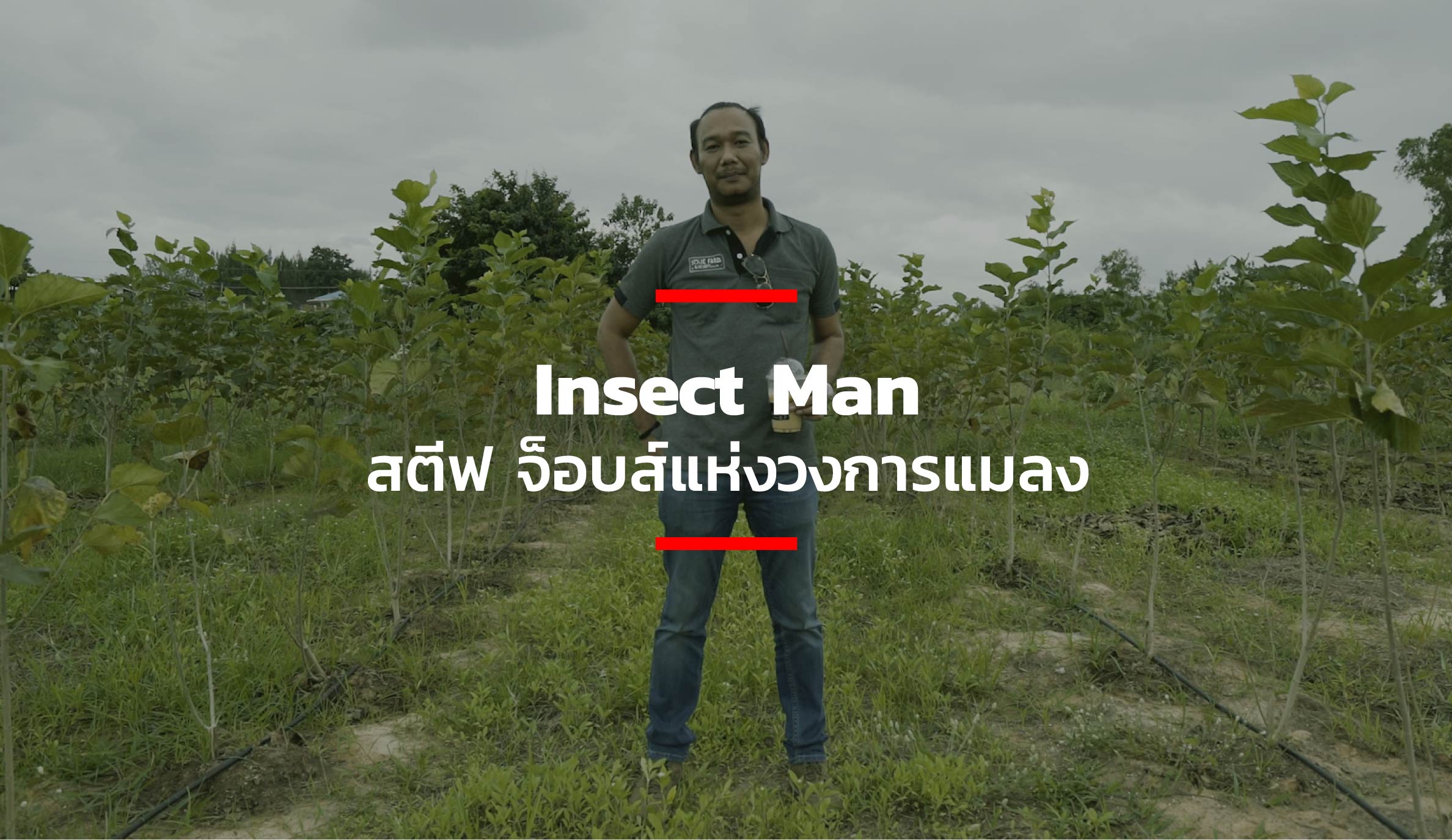 Insect Man สตีฟ จ็อบส์แห่งวงการแมลง – THE STANDARD