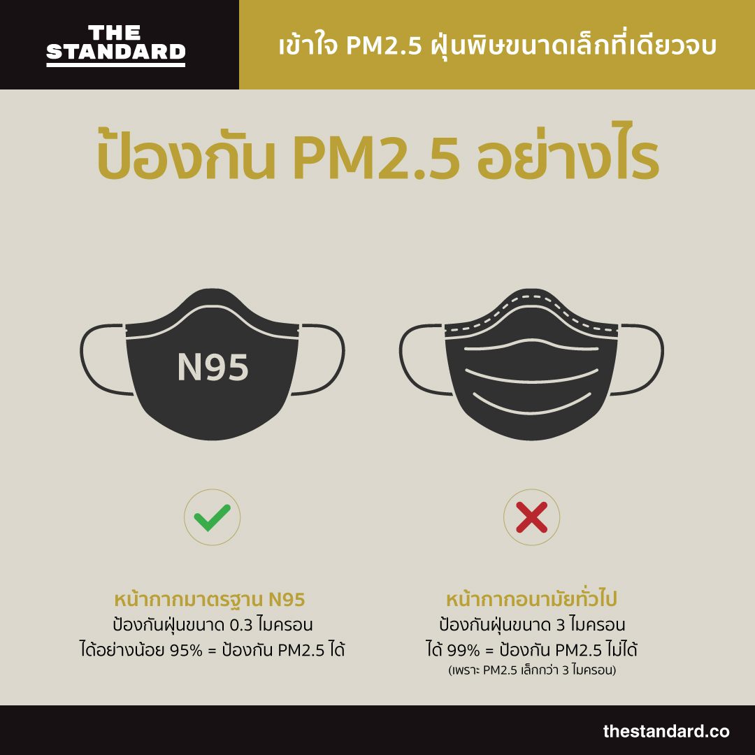 My Image 31