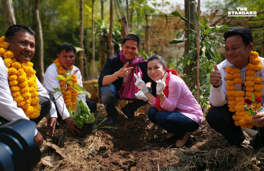 ชาติไทยพัฒนา