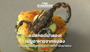 Edible Insect Nutrition