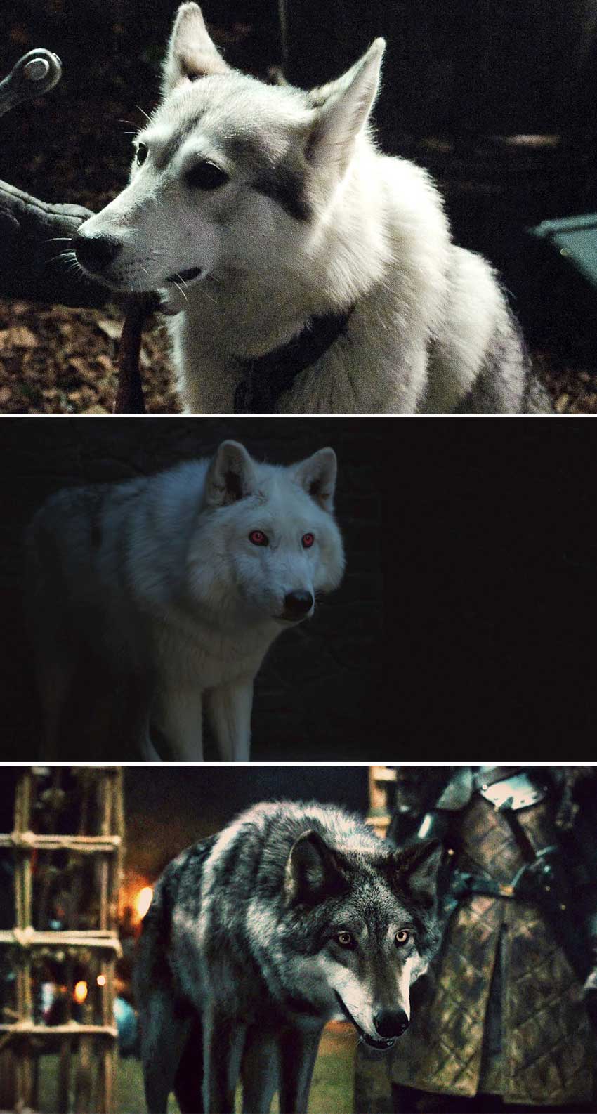 Game of Thrones animals