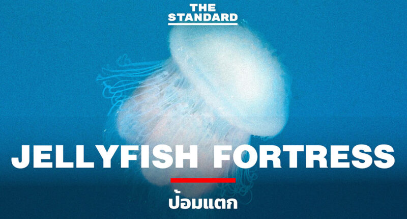 Jellyfish Fortress