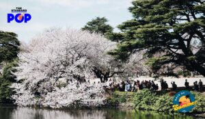 Shinjuku Gyoen National Garden