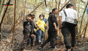 สุดารัตน์ เกยุราพันธุ์