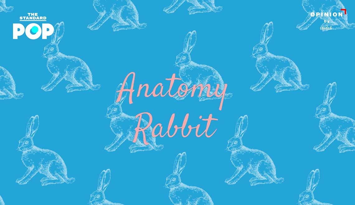 Anatomy Rabbit
