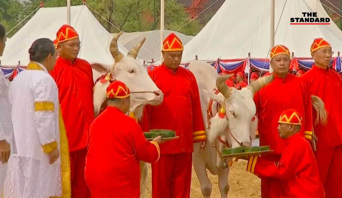 Royal Ploughing Ceremony - Sacred Cows'