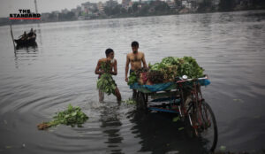 World's rivers are contaminated with antibiotics