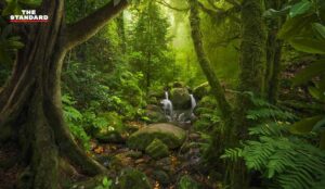 national park Act