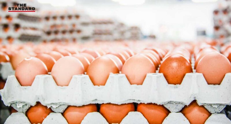 Egg Sellers Licensing