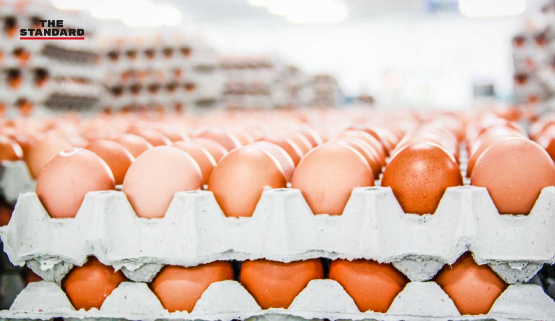Egg Sellers Licensing