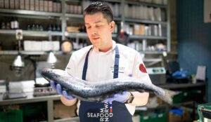 Norwegian Salmon