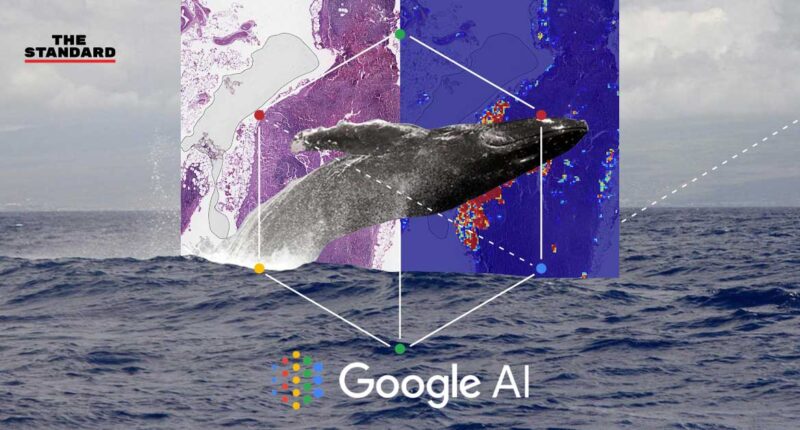 Google Solve with AI