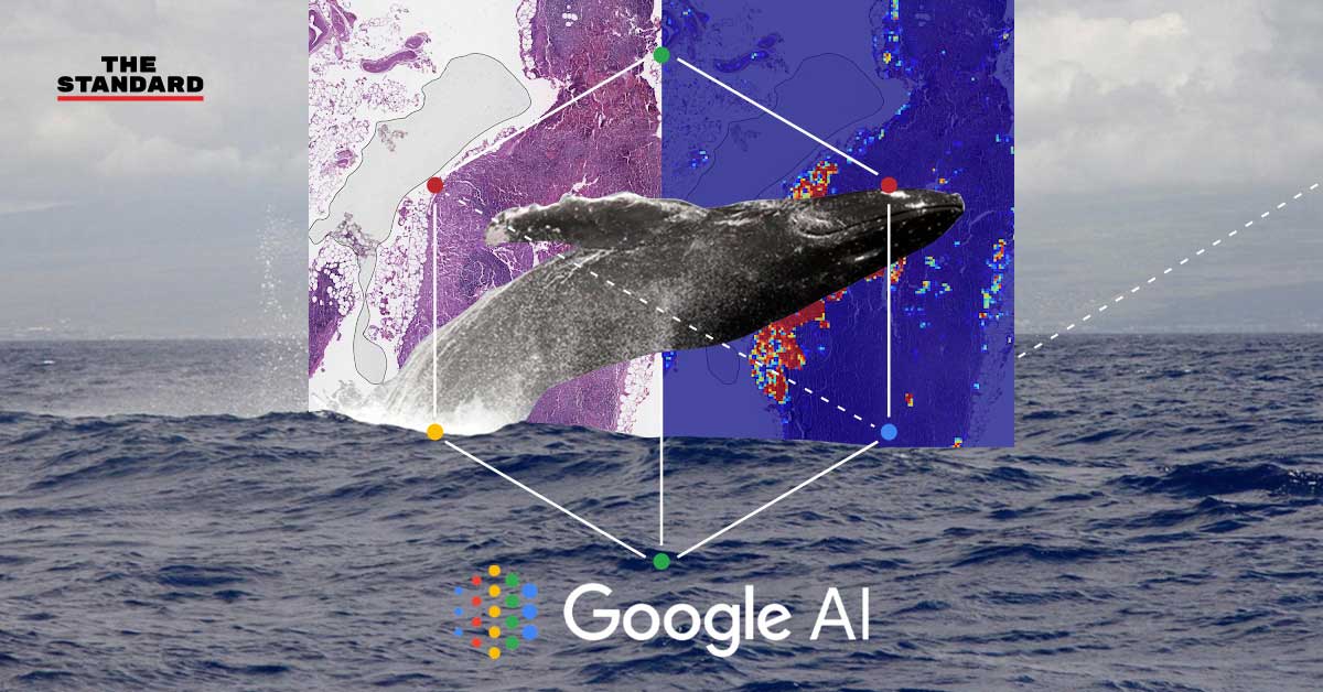 Google Solve with AI