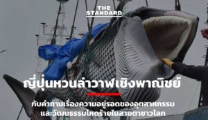 Japan Resumes Commercial Whaling