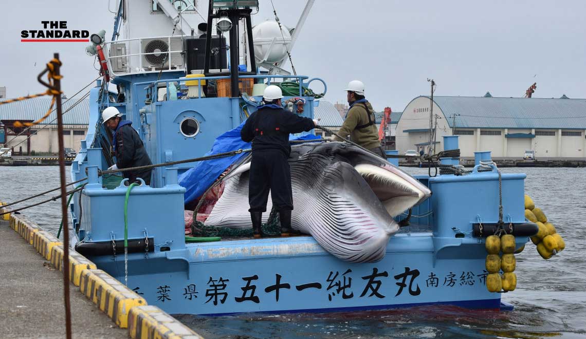 Japan Resumes Commercial Whaling