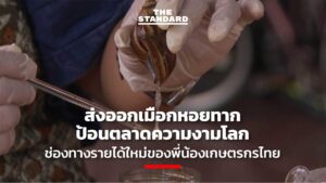 เมือกหอยทาก