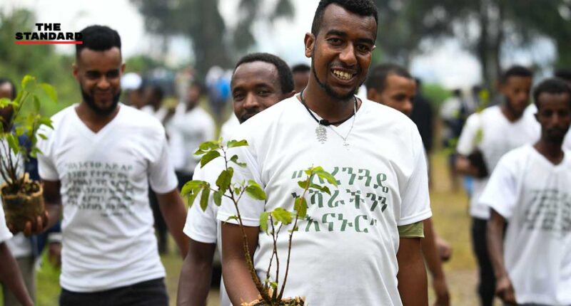 Ethiopia planted 350m trees