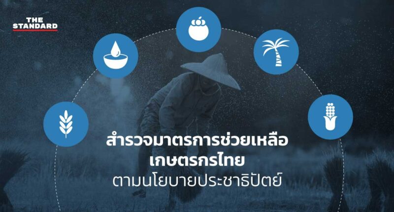 มาตรการช่วยเหลือเกษตรกรไทย