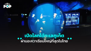 Aquarium Phuket