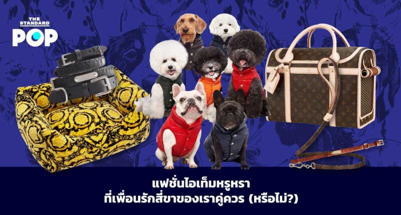 Dog Fashion Items