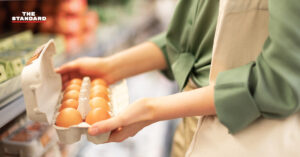 Tesco lotus cage free