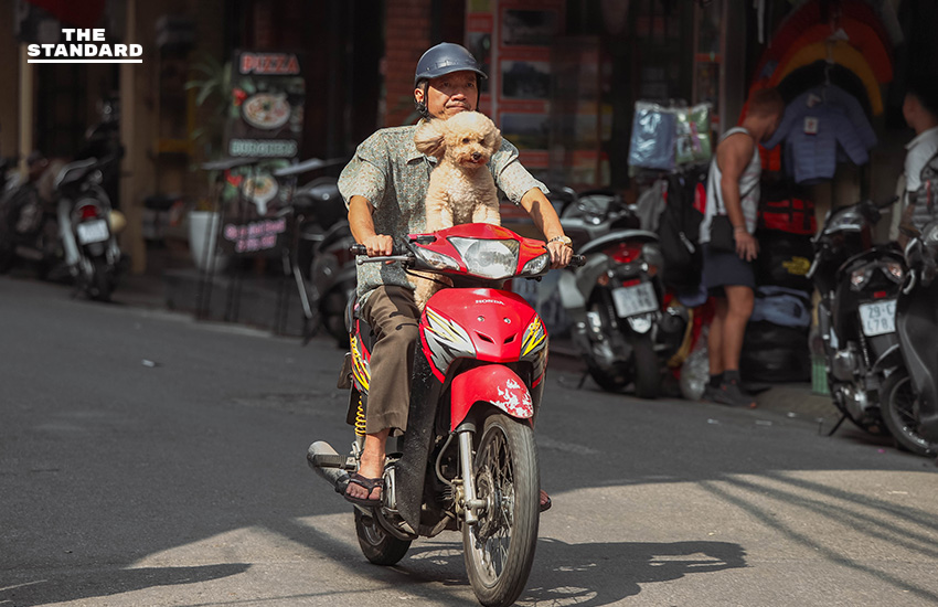 The Street of Hanoi