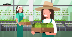 Kitchakood Organics Farm
