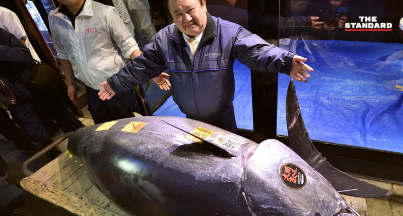 ญี่ปุ่นประมูลปลาทูน่า