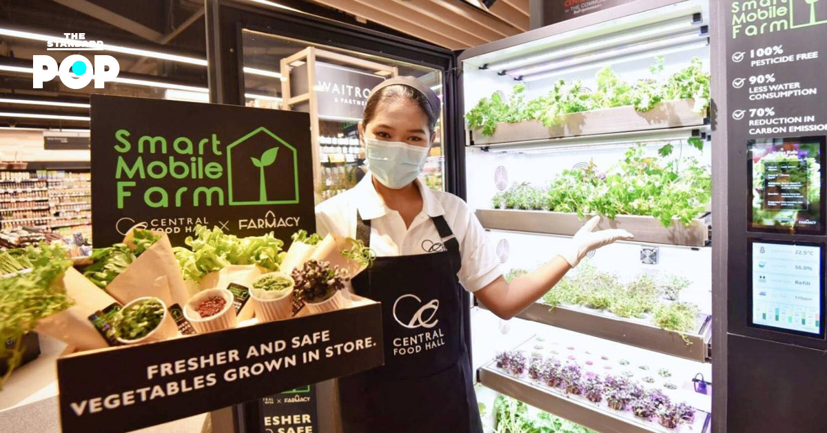 ครั้งแรกในไทยกับตู้ปลูกผักปลอดสารในห้างสรรพสินค้า