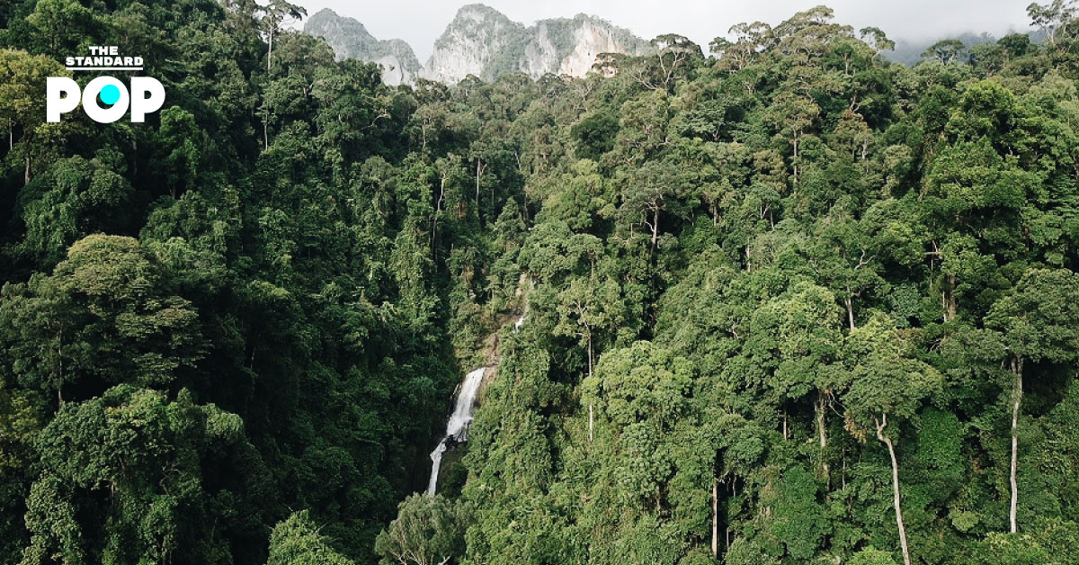 ห่มป่า ยลนก เดินสำรวจป่าต้นน้ำ ณ อุทยานแห่งชาติเขาพนมเบญจา