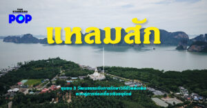 แหลมสัก การท่องเที่ยวเชิงอนุรักษ์ เที่ยว