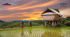 ‘ยาเสพติด’ ภาพติดตัวของชาวเขา เจาะต้นกำเนิดมายาคติของรัฐไทย