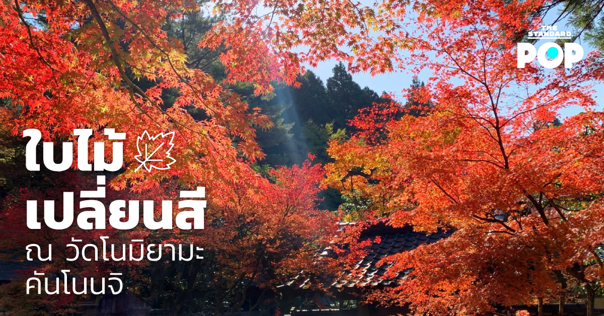 ใบไม้เปลี่ยนสี ณ วัดโนมิยามะ คันโนนจิ