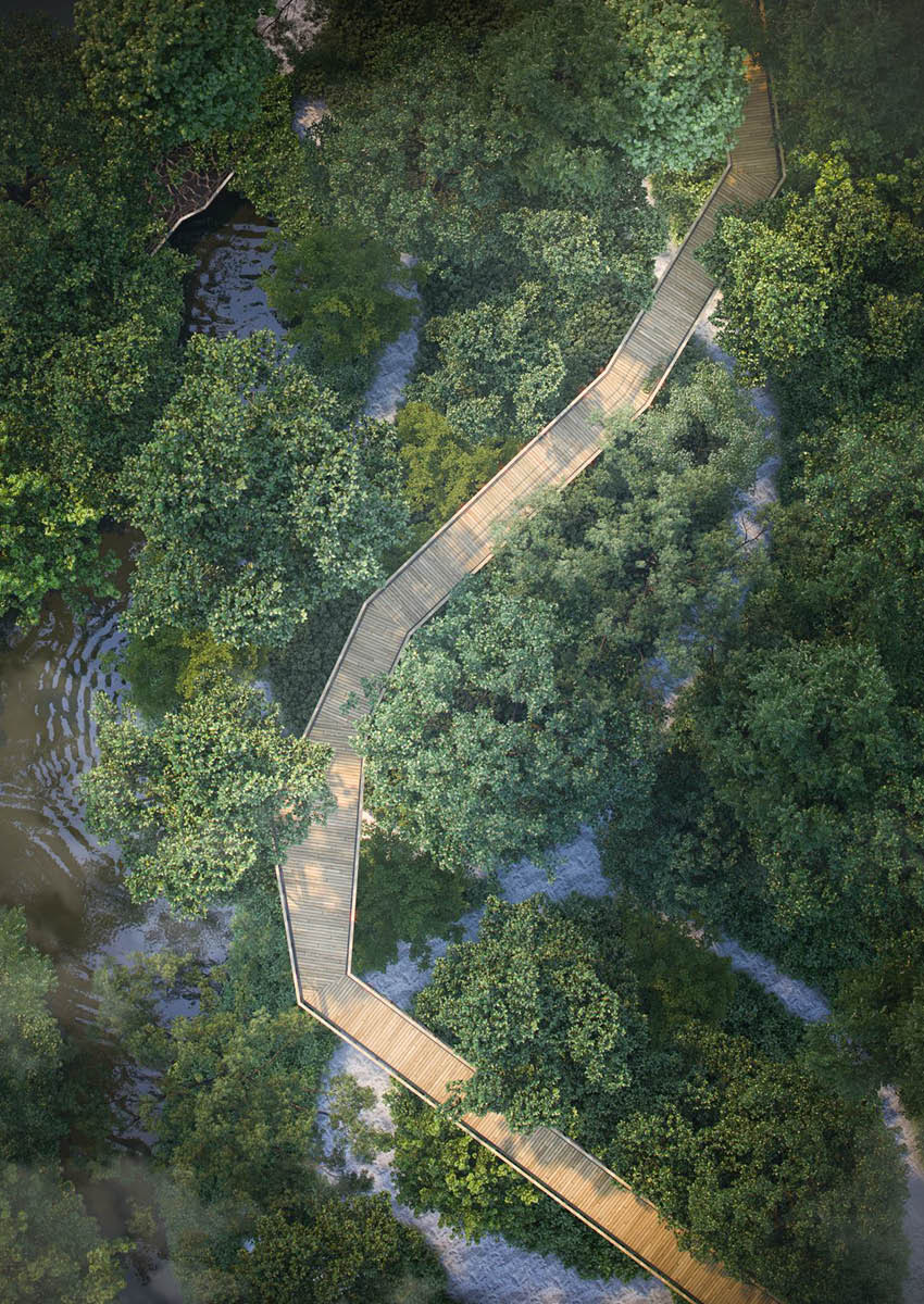 ผืนป่าขนาดยักษ์ 30 ไร่ ‘ปอด’ ที่คอยสร้างอากาศบริสุทธิ์ให้กับ THE FORESTIAS