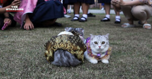 บรรยากาศเทศกาล The Cat Society ‘รวมพลคนหลงแมว’ เมื่อมิวเซียมสยามถูกเนรมิตเป็นดินแดนของทาสแมว