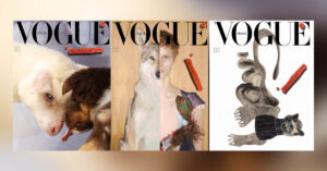 Vogue Italia