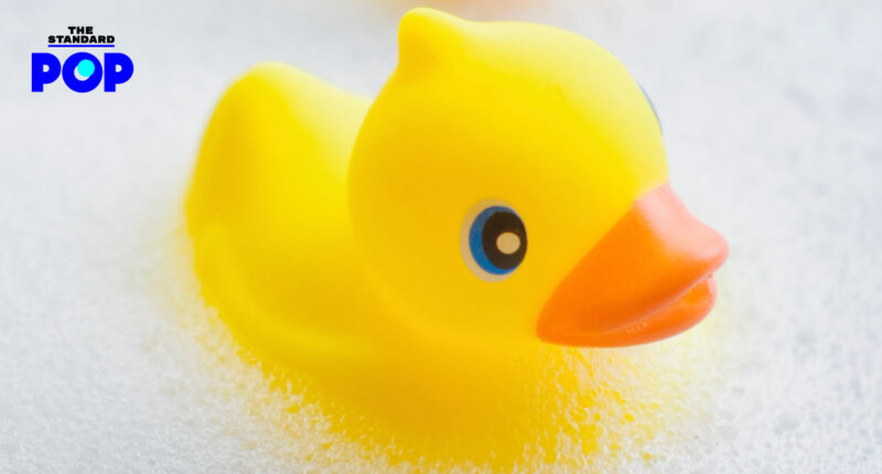 13 มกราคม - National Rubber Ducky Day