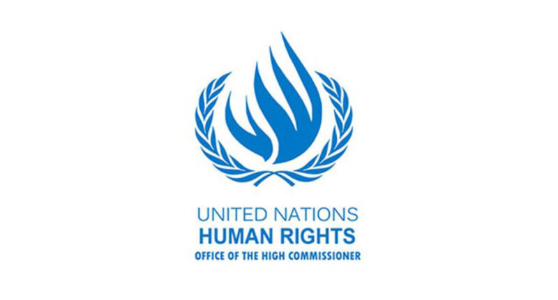 ผู้เชี่ยวชาญสิทธิมนุษยชน UN