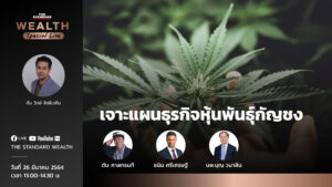 ชมคลิป: เจาะแผนธุรกิจหุ้นพันธุ์กัญชง