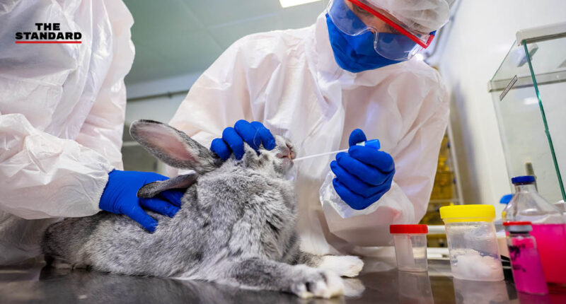 รัสเซียจดทะเบียนวัคซีนต้านโควิด-19 สำหรับสัตว์ครั้งแรกของโลก