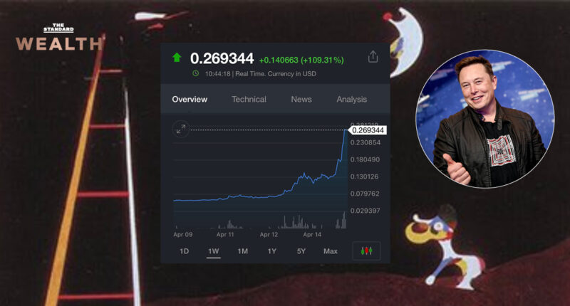 dogecoin-all-time-high-this-year-price-positive-5773-percent