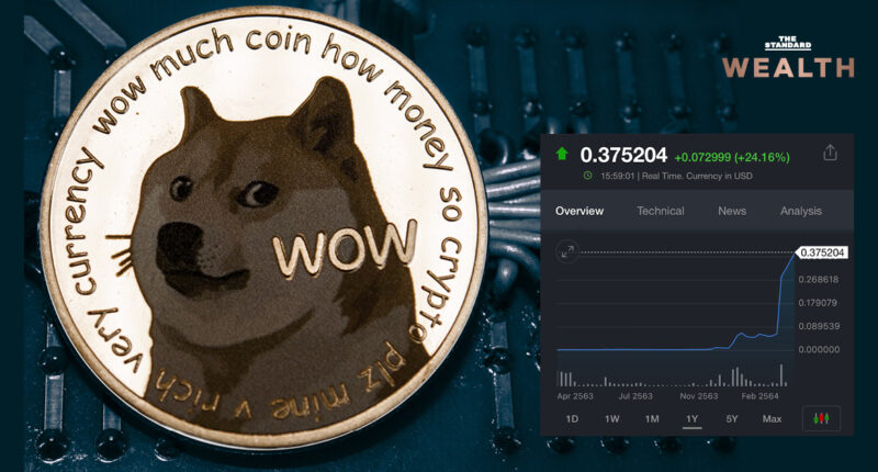 ทำความรู้จัก Dogecoin เหรียญน้องหมาที่ให้ผลตอบแทนสูงสุดในปีนี้ เหตุใดคนจึงนิยมเทรด