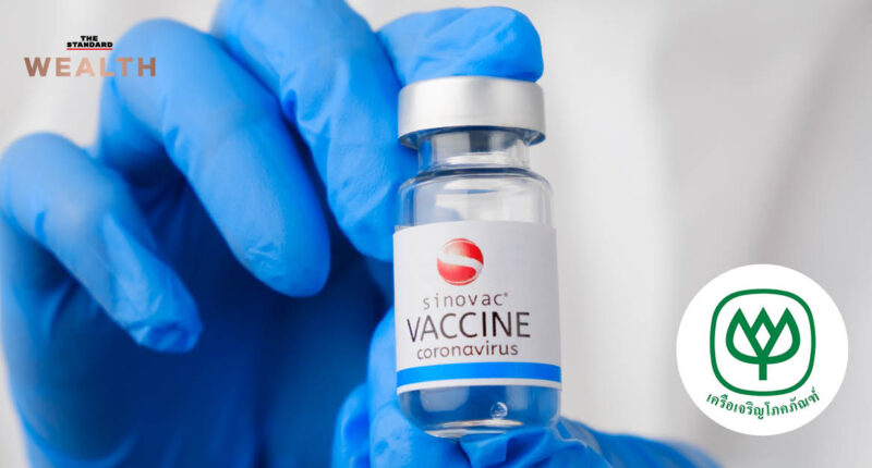 CP วัคซีน Sinovac