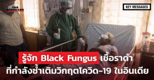 Black Fungus