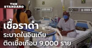 เชื้อราดำ