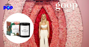 Goop THIS SMELLS LIKE MY Vagina CANDLE