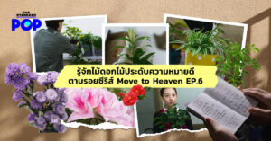 Move to Heaven ดอกไม้ ความหมาย