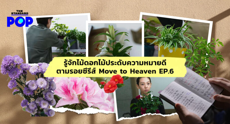 Move to Heaven ดอกไม้ ความหมาย