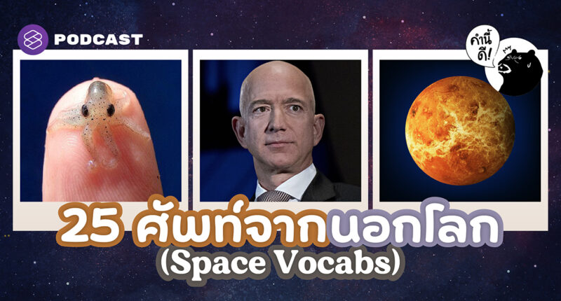 Space Vocabs