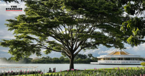 บรรยากาศสวนหลวง ร.9
